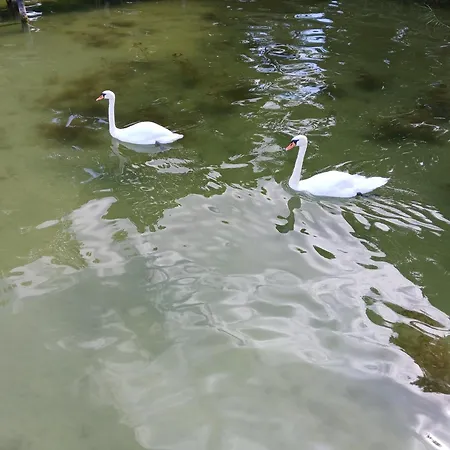 Koenig Arendsee (Altmarkkreis Salzwedel)